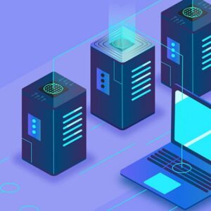 Plan Hosting Profesional